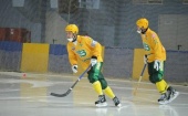 В ходе 2-го этапа Кубка России по хоккею с мечем архангельские хоккеисты одержали победу и потерпели