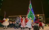 Главная елка Поморской столицы зажглась новогодними огнями