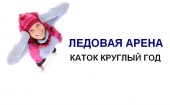 28 февраля в Архангельске официально открылась новая ледовая площадка в ТРК "Титан Арена"