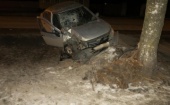 В Архангельской области водитель влетел в дерево. Четыре человека пострадали