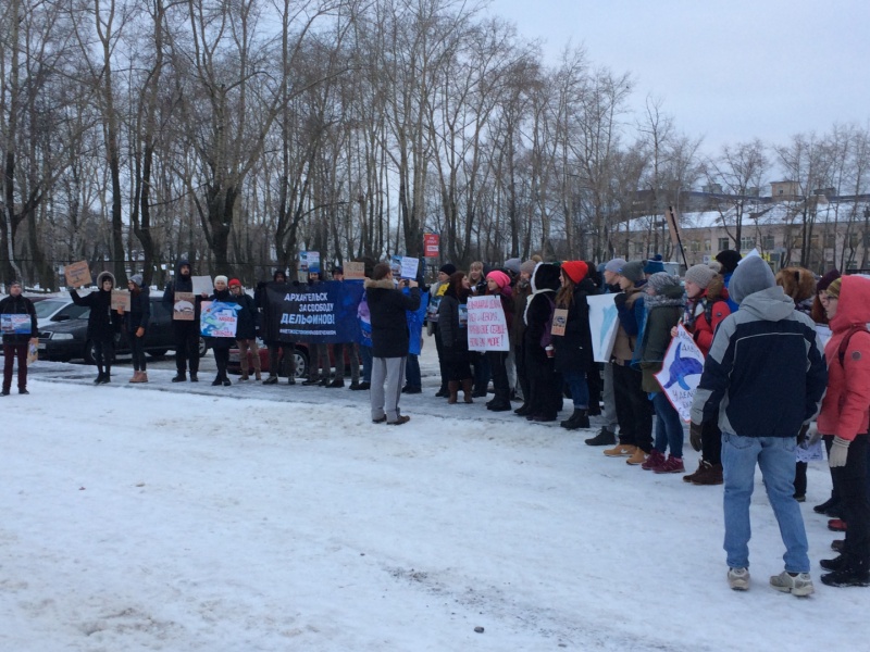 В Архангельске зоозащитники провели митинг против дельфинария разместившегося у ТРК Макси