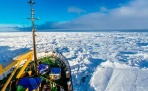 Караван судов  Росморпорта возвращавшийся по Северному морскому пути в Архангельск застрял во льдах