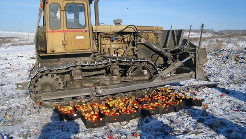Почти 1,5 тонны санкционных яблок и шампиньонов уничтожено на свалке под Архангельском