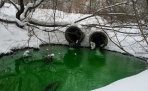 Водопроводная вода в квартирах Архангельска может окраситься в зелёный цвет