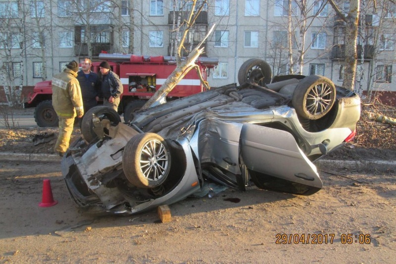 В Новодвинске нетрезвый водитель на полном ходу врезался в дерево