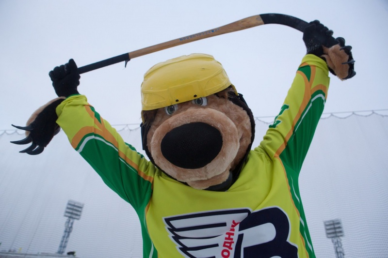 У Архангельского хоккейного клуба «Водник» появился свой талисман - Медведь