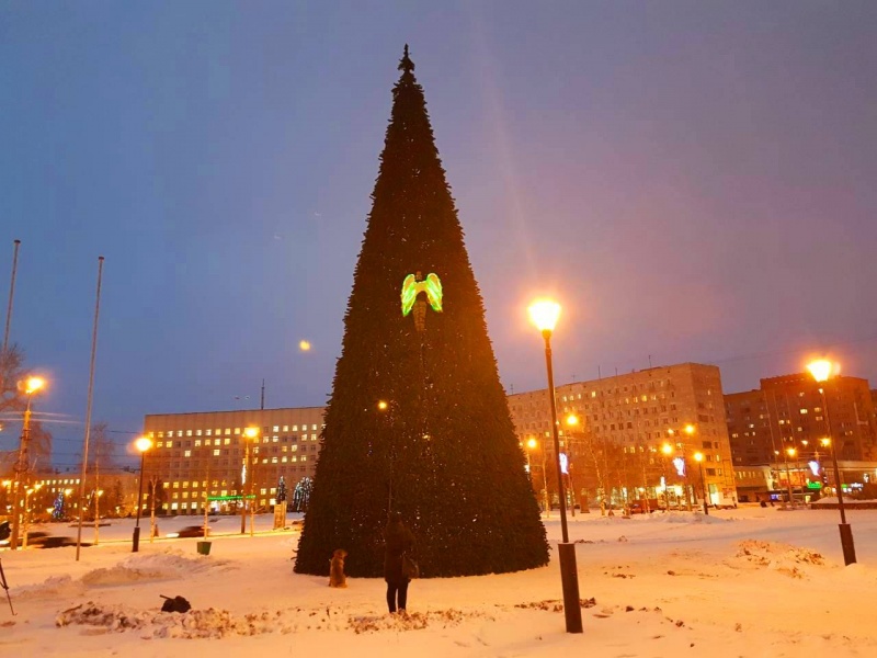 Древарх Просветлённый вновь забрался на новогоднюю ёлку у администрации Архангельска