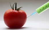 Россия намерена отказаться от продуктов с ГМО