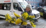 На улицах Архангельска появились мимоза и тюльпаны 