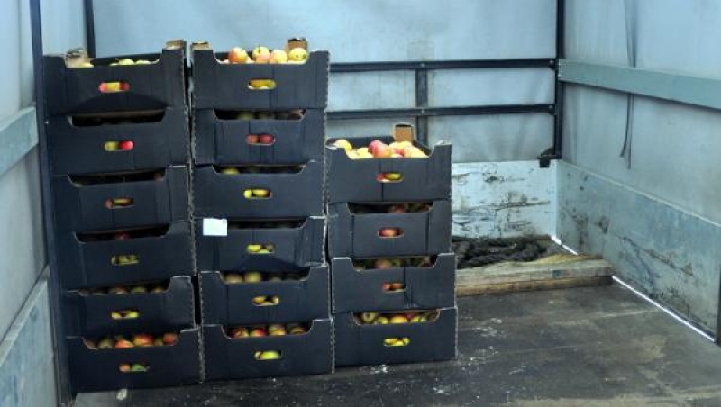 Польские яблочки вновь уничтожат в Архангельске из-за санкций 