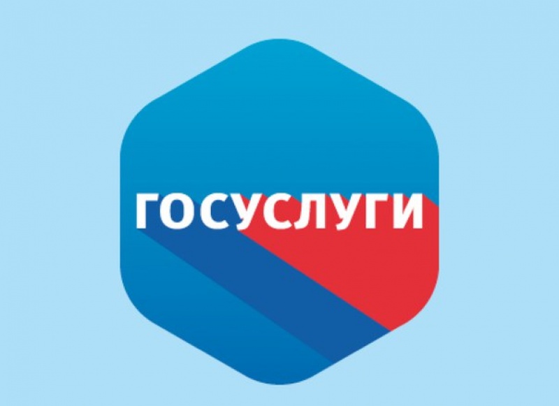В России подорожают госуслуги для автомобилистов и туристов 