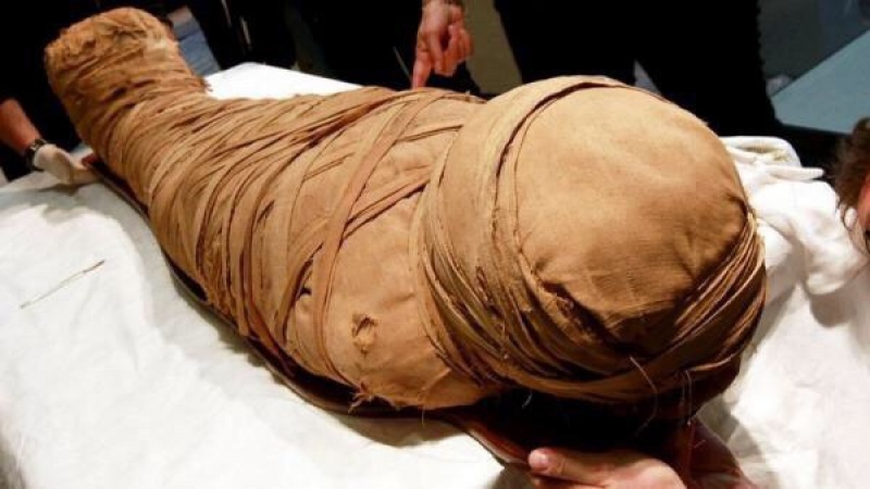 В Коряжме полицейские нашли превратившийся в мумию труп женщины 