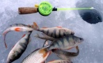 Четвертая жертва весеннего льда в Поморье: на реке Онега утонул рыбак 