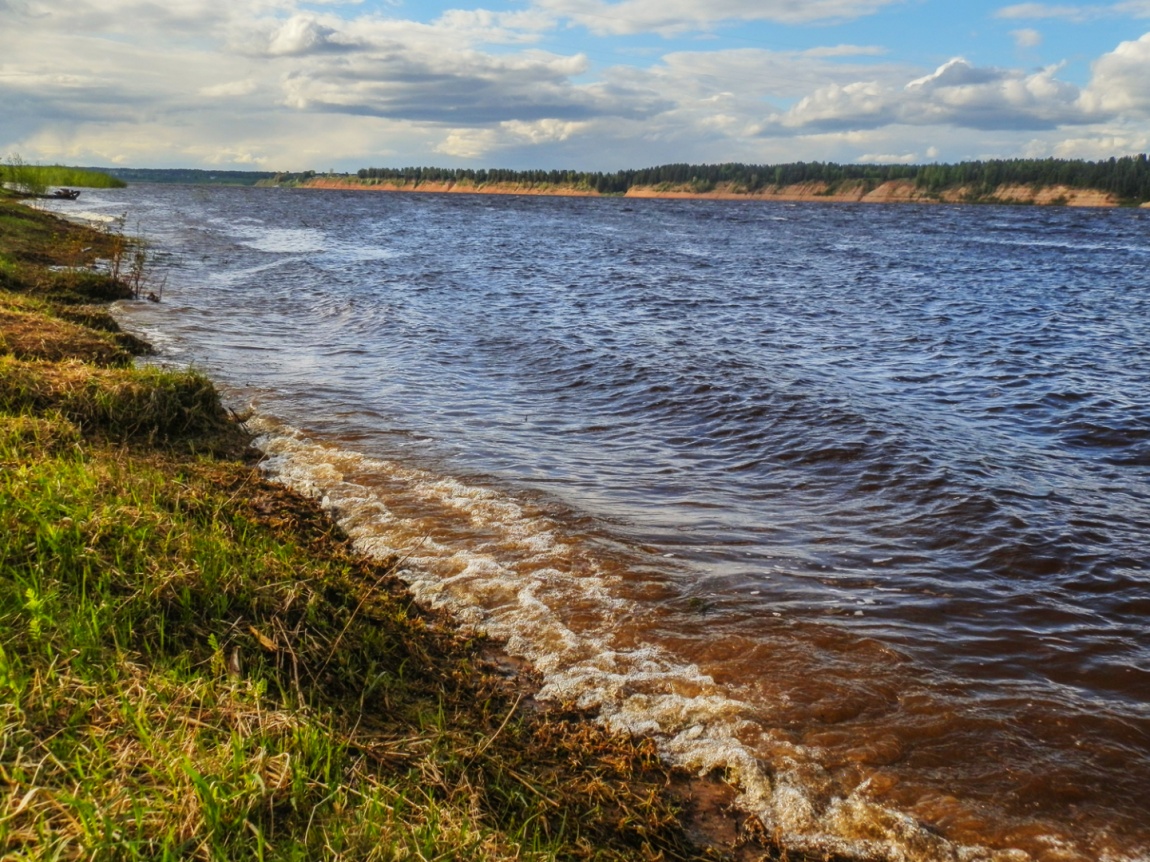 Берег Северной Двины Копачево