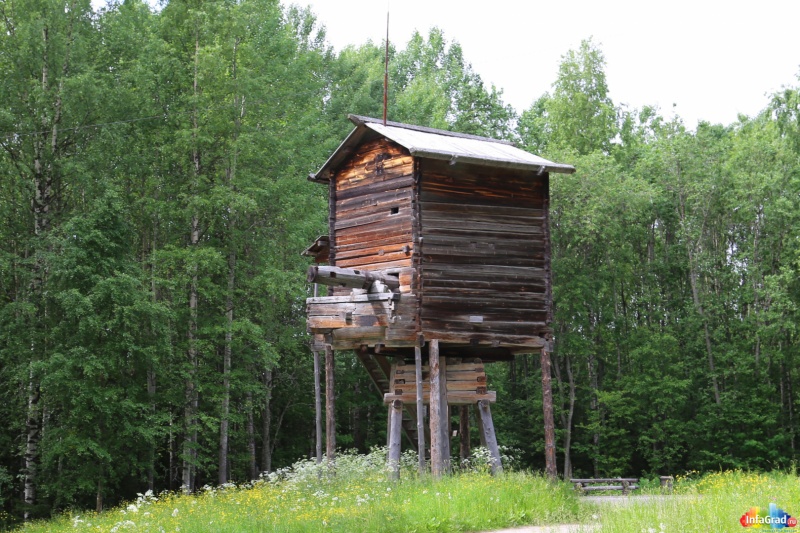 Малые Корелы. Ветряная мельница-столбовка на стойках из деревни Юксозеро Онежского района, XIX век