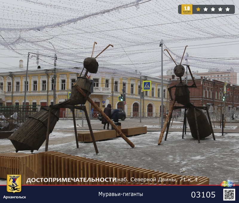 Муравьи-гиганты в Молодежном сквере | Архангельск